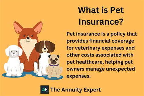 How to Get Pet Insurance