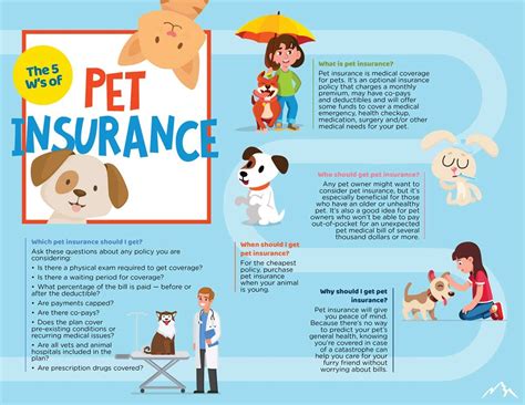 What is Pet Insurance